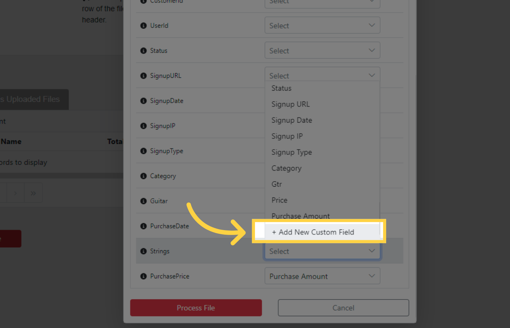 Add New Custom Field