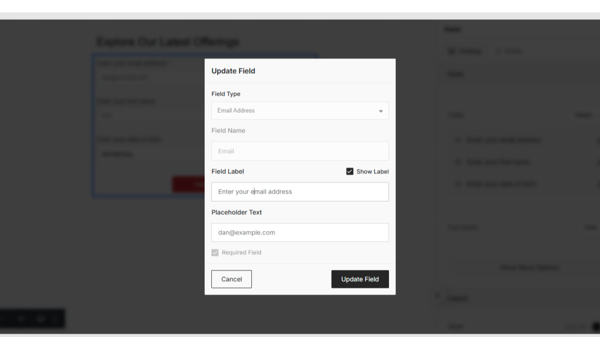 Editing Email Field