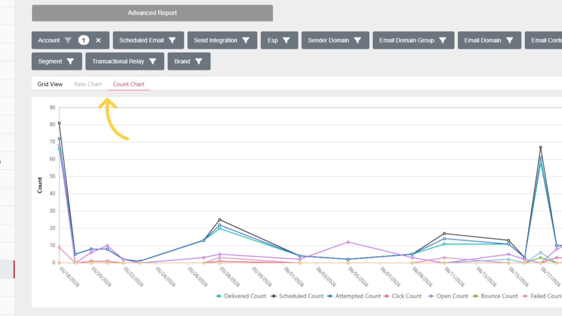 Advanced Report: View Charts