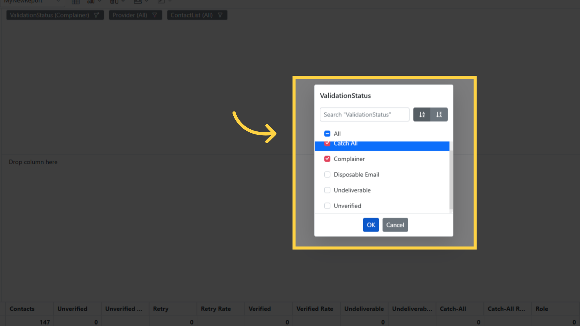 Email Validation Report: Filter Selections
