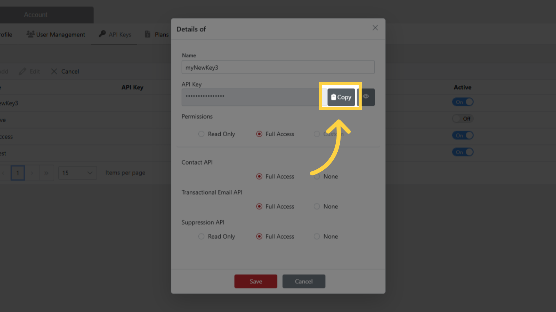 Copy your API Key